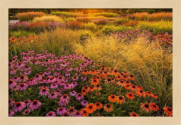 Garden Prairie Serenity