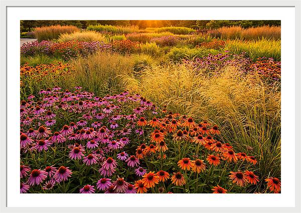 Garden Prairie Serenity