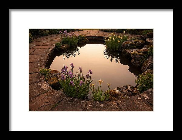 Garden Reflection Pool Serenity