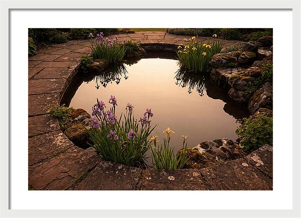 Garden Reflection Pool Serenity