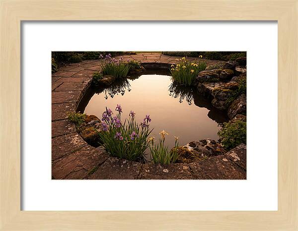 Garden Reflection Pool Serenity