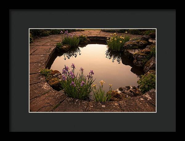 Garden Reflection Pool Serenity