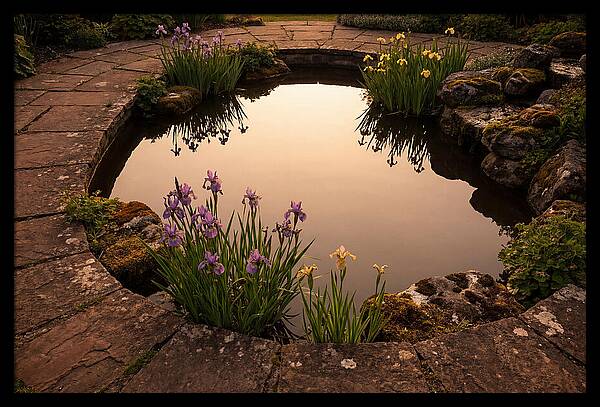 Garden Reflection Pool Serenity