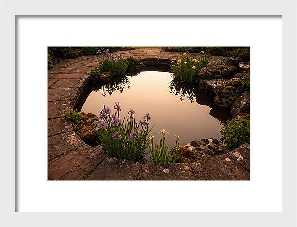 Garden Reflection Pool Serenity