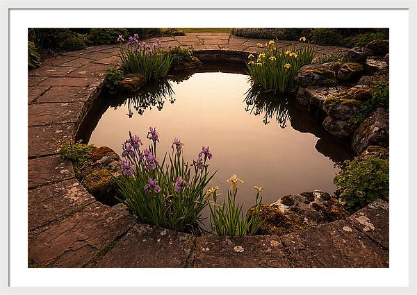 Garden Reflection Pool Serenity