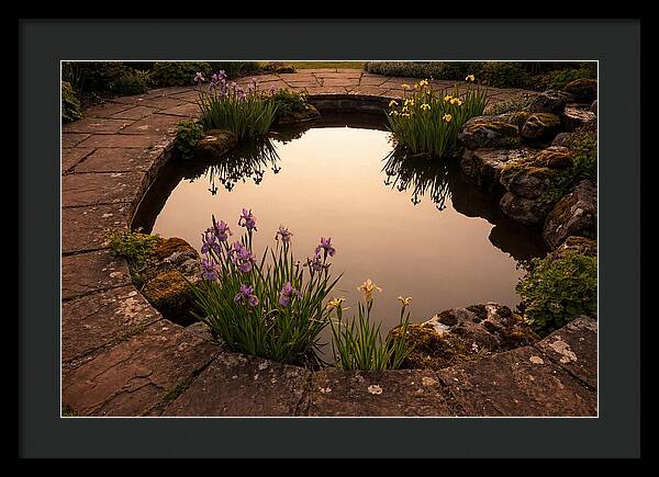 Garden Reflection Pool Serenity