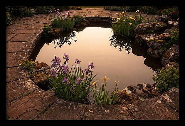 Garden Reflection Pool Serenity