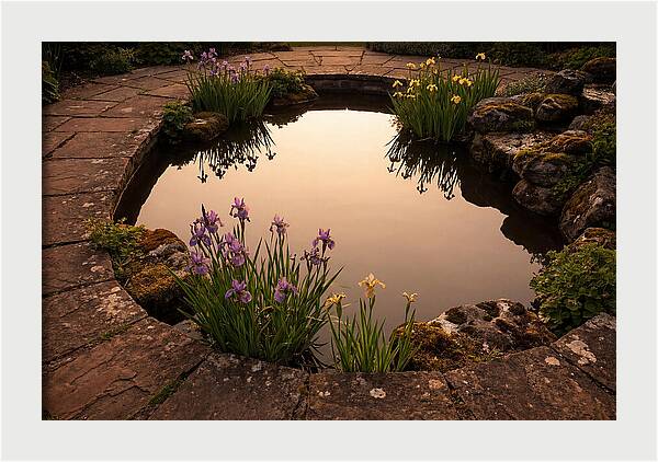 Garden Reflection Pool Serenity