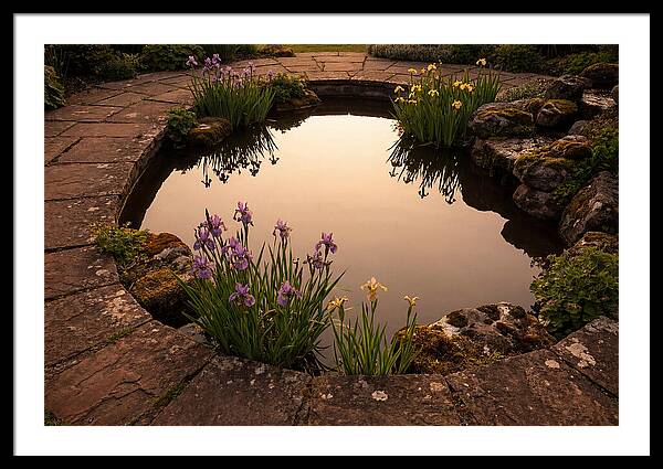 Garden Reflection Pool Serenity