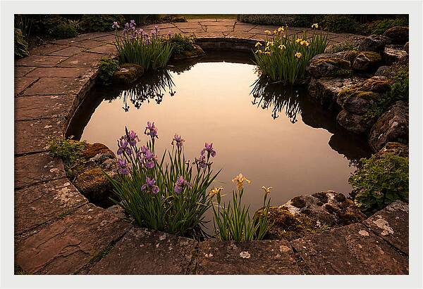 Garden Reflection Pool Serenity