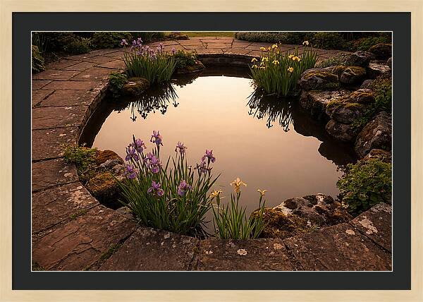 Garden Reflection Pool Serenity