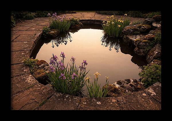 Garden Reflection Pool Serenity