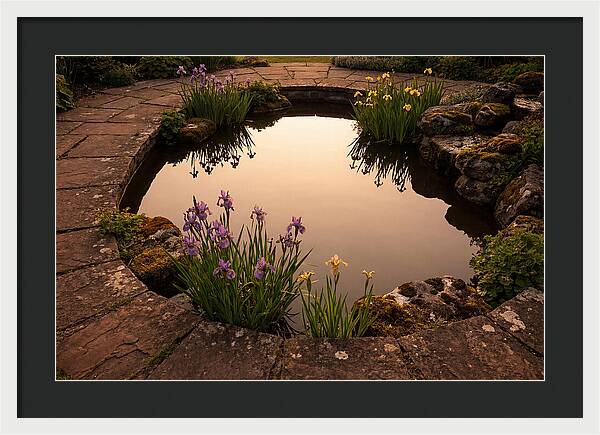 Garden Reflection Pool Serenity