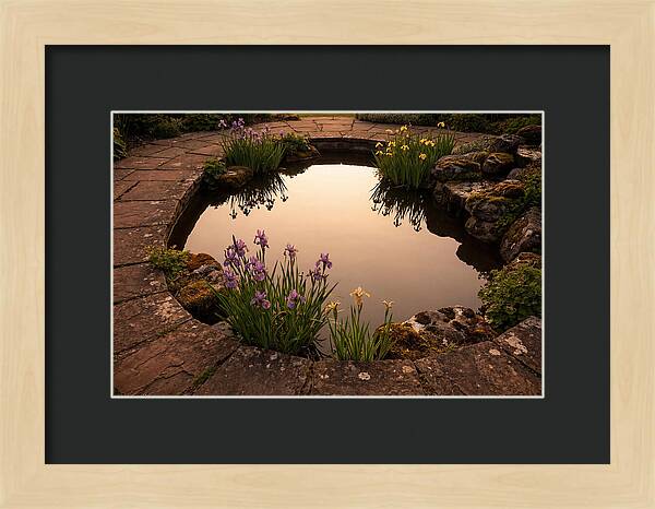 Garden Reflection Pool Serenity