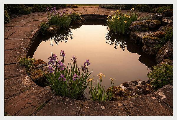 Garden Reflection Pool Serenity