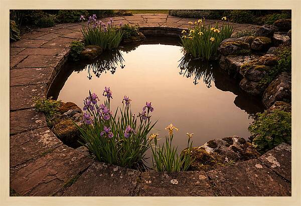 Garden Reflection Pool Serenity