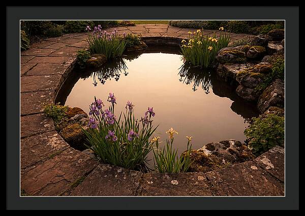 Garden Reflection Pool Serenity