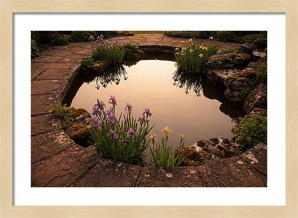 Garden Reflection Pool Serenity