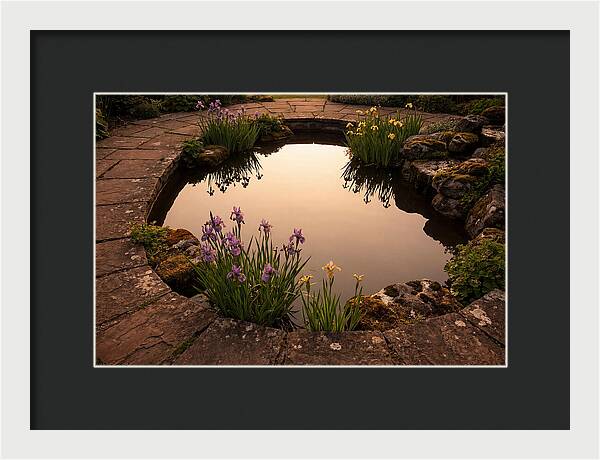 Garden Reflection Pool Serenity