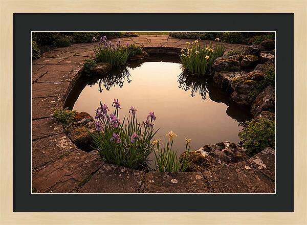 Garden Reflection Pool Serenity