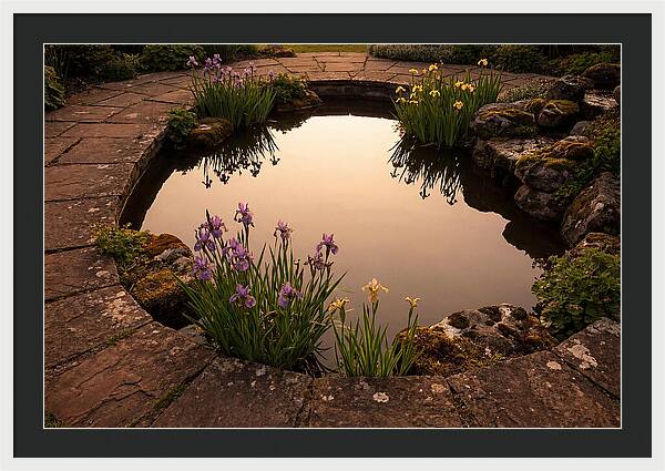 Garden Reflection Pool Serenity