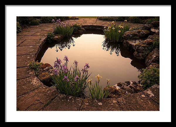 Garden Reflection Pool Serenity
