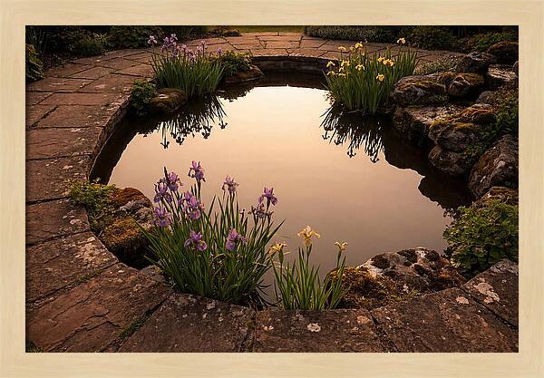 Garden Reflection Pool Serenity