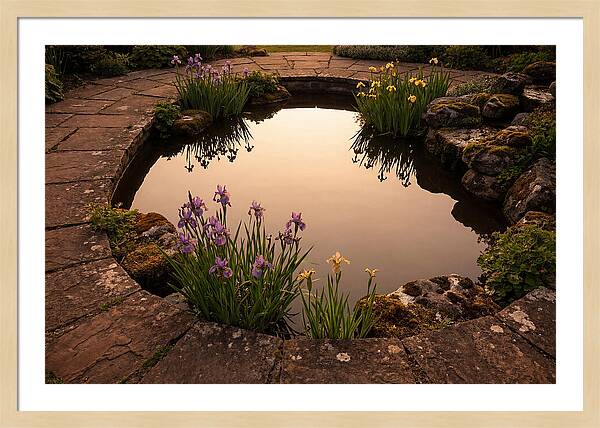 Garden Reflection Pool Serenity