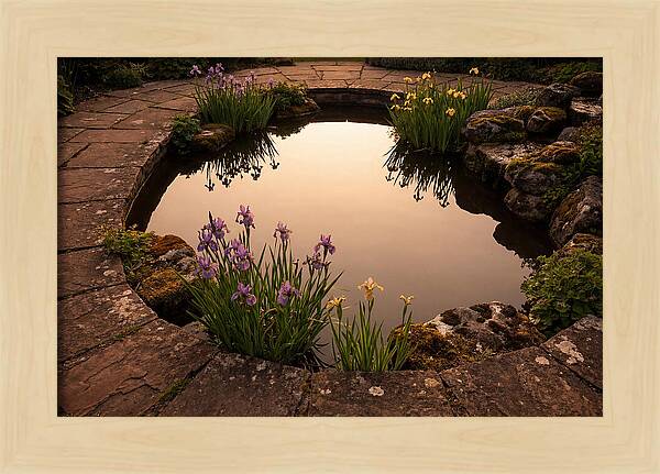 Garden Reflection Pool Serenity