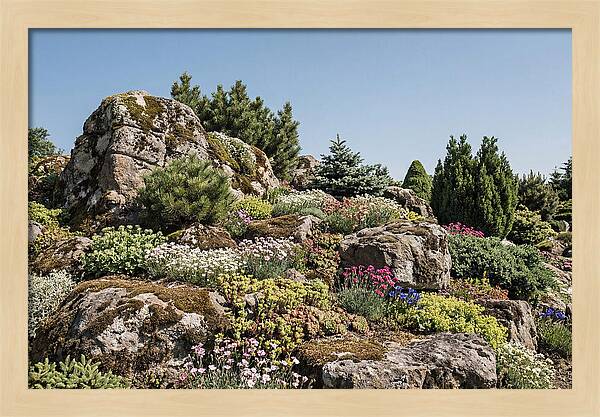 Garden Rockery With Alpines