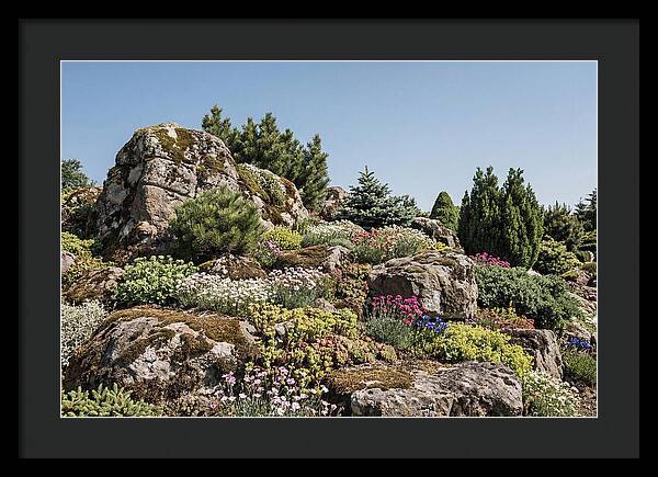 Garden Rockery With Alpines