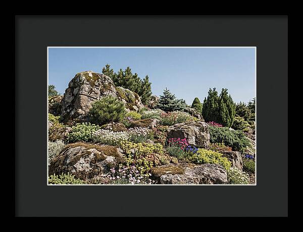 Garden Rockery With Alpines