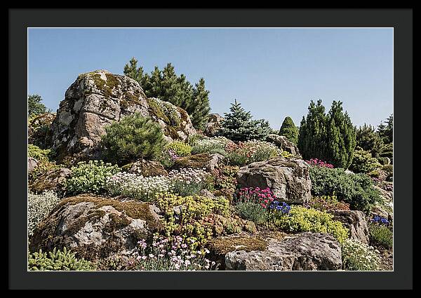 Garden Rockery With Alpines