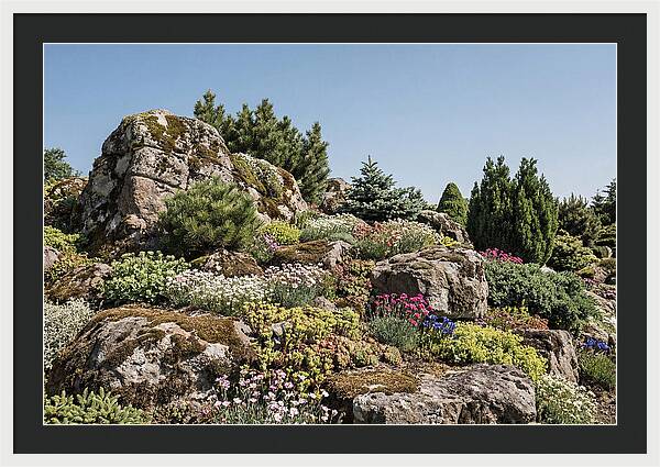 Garden Rockery With Alpines
