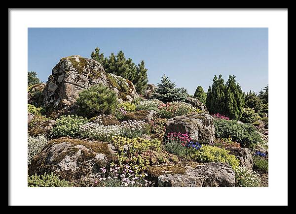 Garden Rockery With Alpines