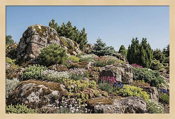 Garden Rockery With Alpines
