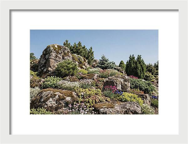 Garden Rockery With Alpines