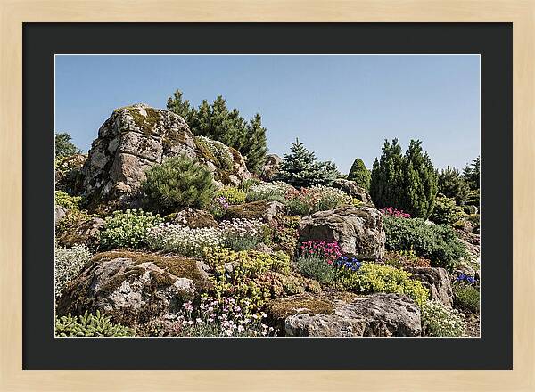 Garden Rockery With Alpines