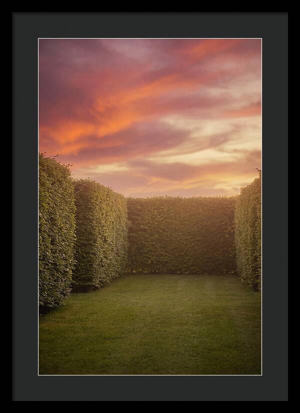Garden Room Serenity