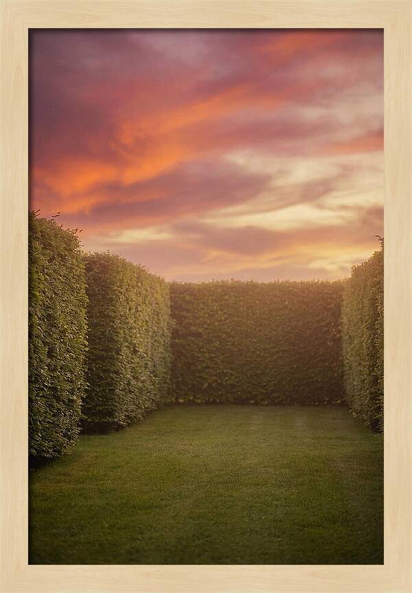 Garden Room Serenity