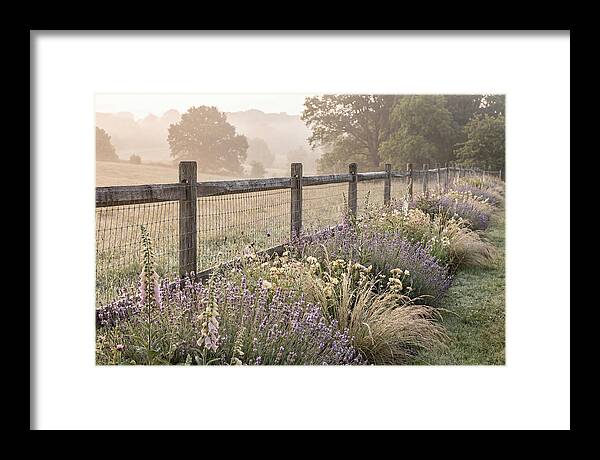 Garden Serenity At Dawn