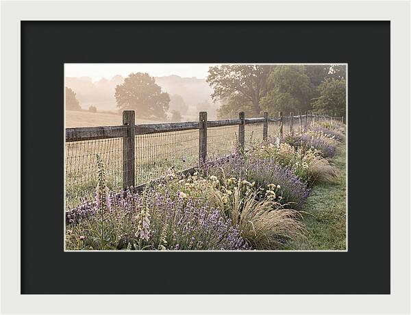 Garden Serenity At Dawn