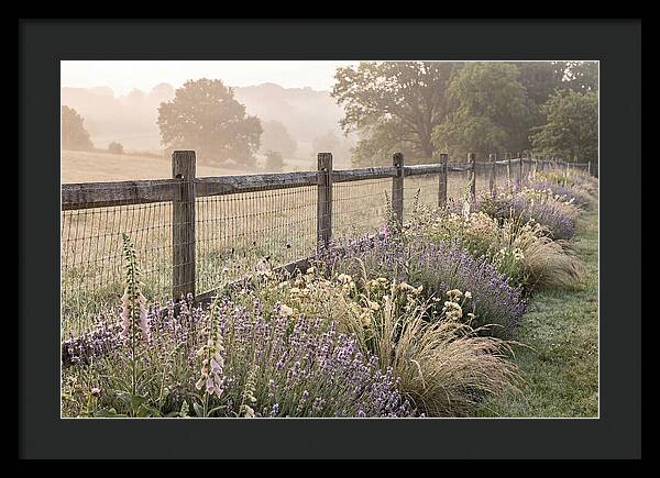 Garden Serenity At Dawn