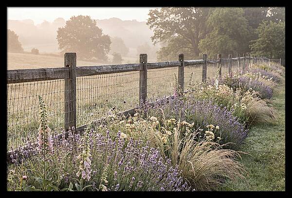 Garden Serenity At Dawn