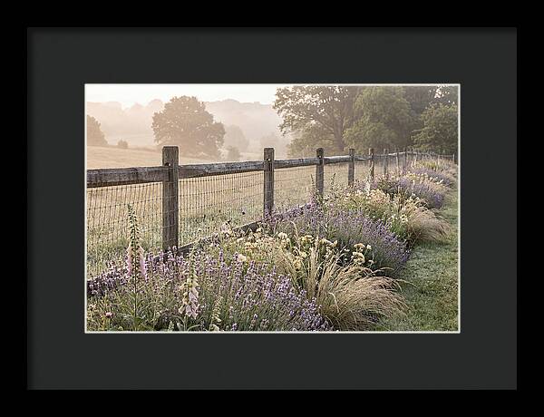 Garden Serenity At Dawn
