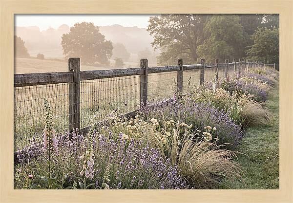 Garden Serenity At Dawn