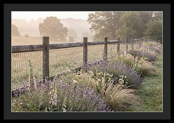 Garden Serenity At Dawn