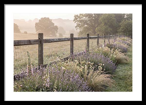 Garden Serenity At Dawn