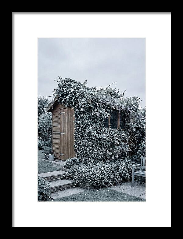 Garden Shed Embraced By Nature