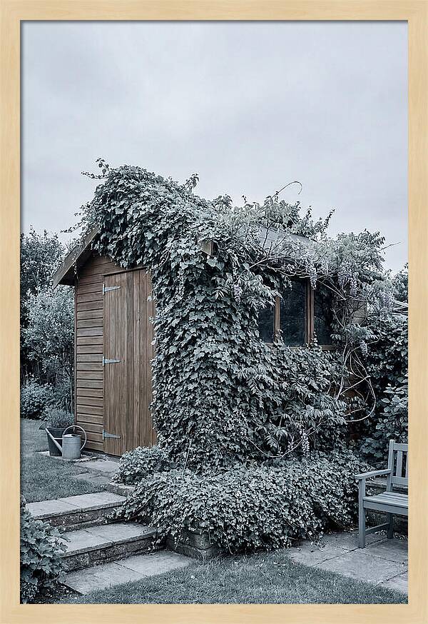 Garden Shed Embraced By Nature
